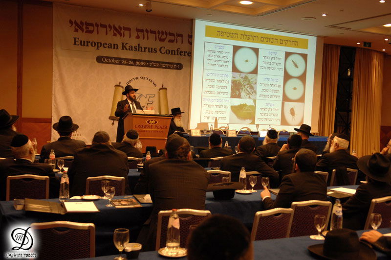 לנדא, בעלזא וחתם-סופר באולם אחד