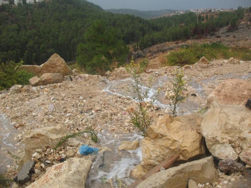 סוף-סוף חורף: גשמים עזים יורדים בכל חלקי הארץ