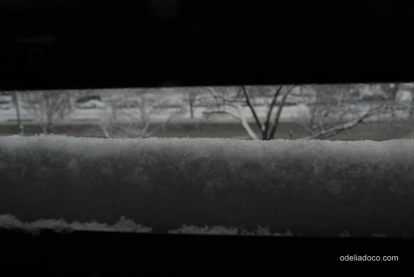 צפו בגלריה לבנה: ניו-יורק עטופה שלג