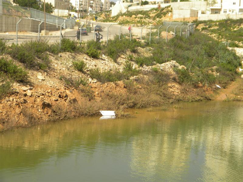 צפו בוידאו: "וינציה" של מודיעין-עלית