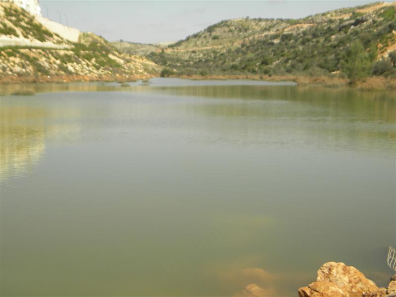 צפו בוידאו: "וינציה" של מודיעין-עלית
