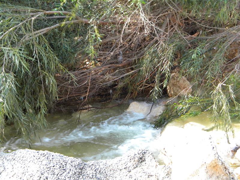 צפו בוידאו: "וינציה" של מודיעין-עלית