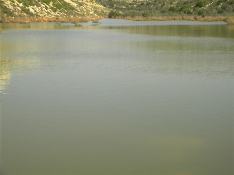 צפו בוידאו: "וינציה" של מודיעין-עלית
