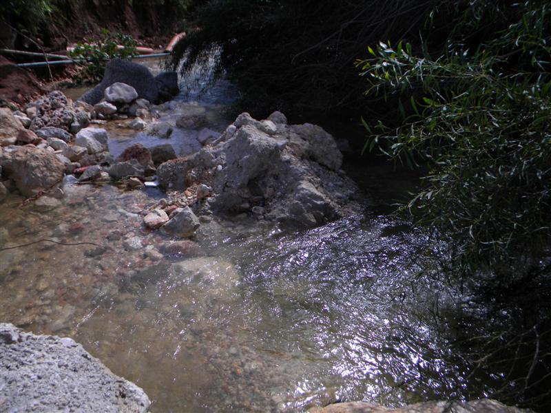צפו בוידאו: "וינציה" של מודיעין-עלית