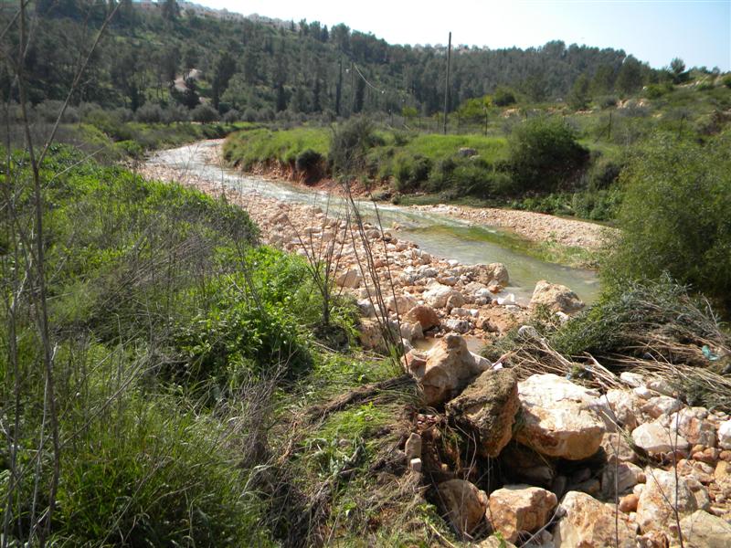 צפו בוידאו: "וינציה" של מודיעין-עלית