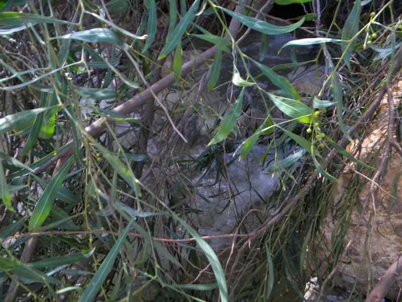 צפו בוידאו: "וינציה" של מודיעין-עלית