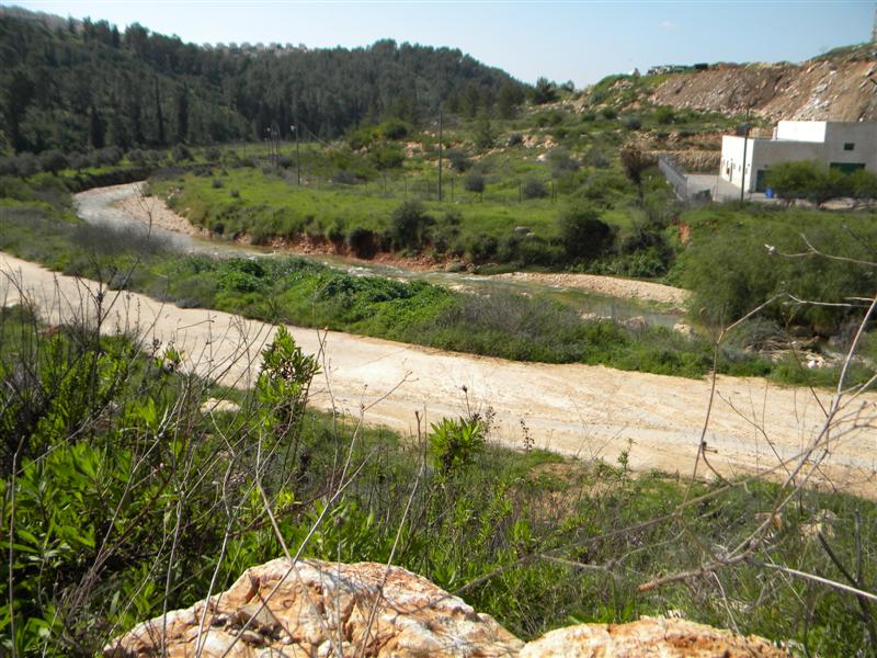 צפו בוידאו: "וינציה" של מודיעין-עלית