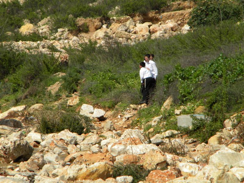 צפו בוידאו: "וינציה" של מודיעין-עלית