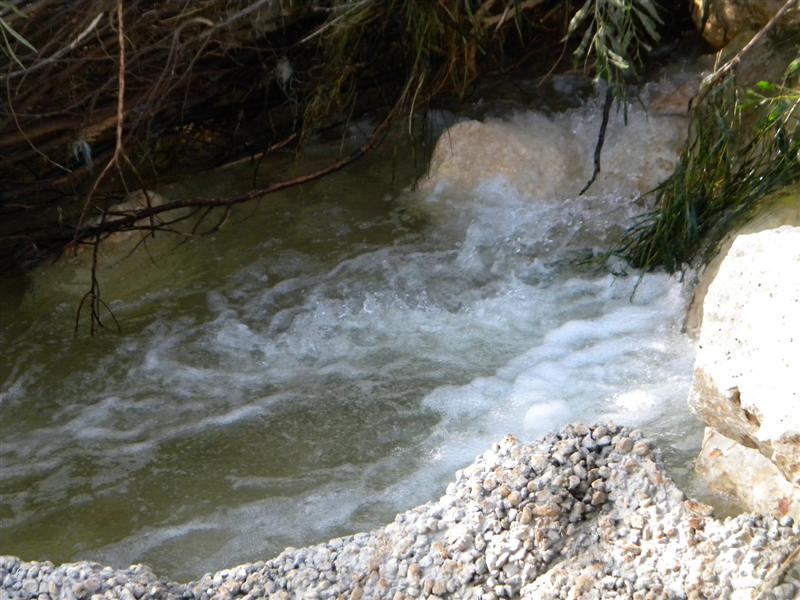 צפו בוידאו: "וינציה" של מודיעין-עלית