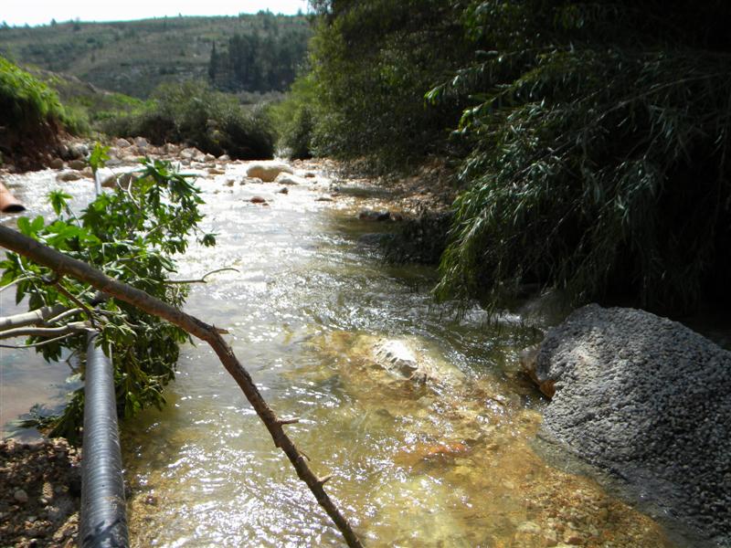 צפו בוידאו: "וינציה" של מודיעין-עלית
