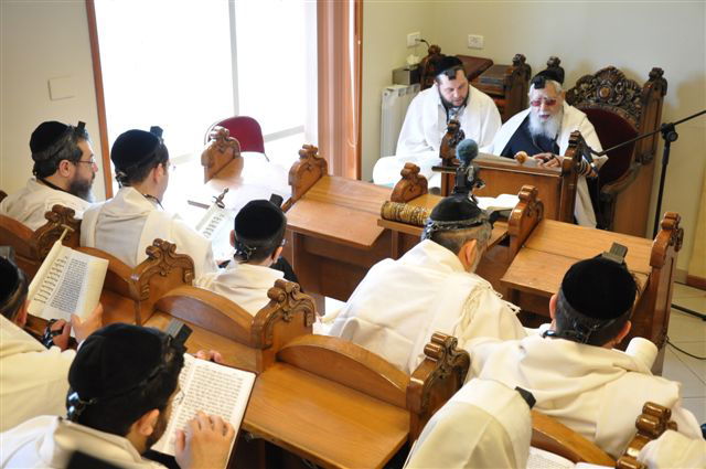 תמונות: כך ייעשה למי שיתחפש למרן...