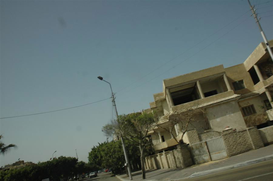 גלריית ענק: חונכים בית-כנסת במצרים