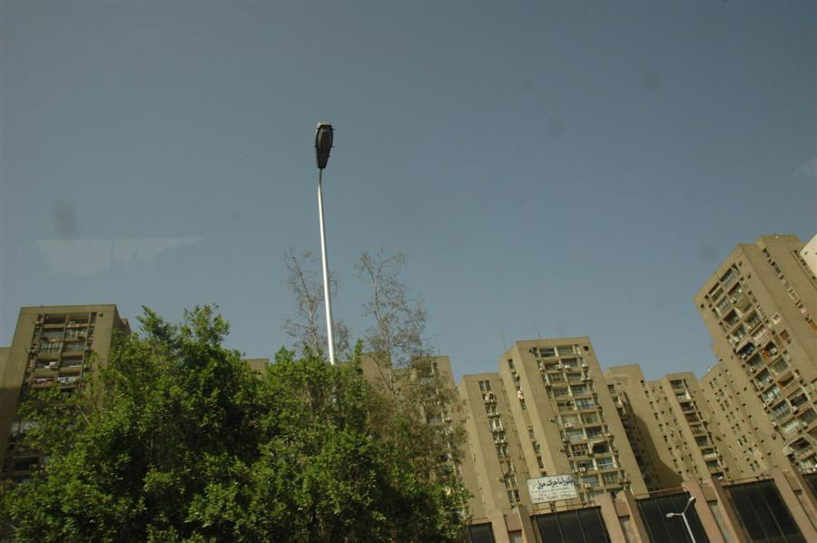 גלריית ענק: חונכים בית-כנסת במצרים