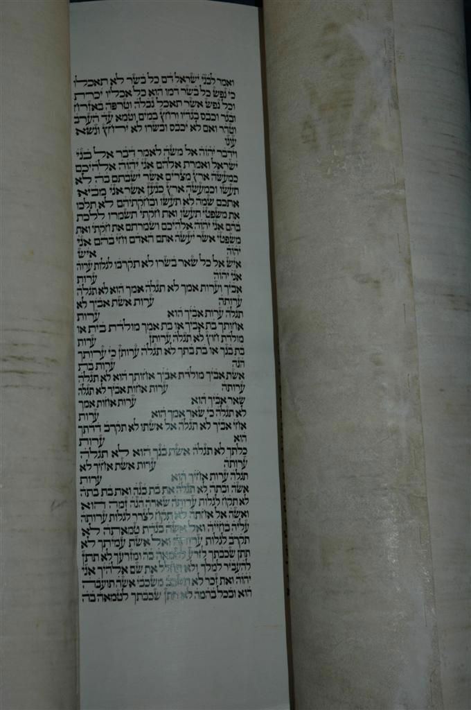 גלריית ענק: חונכים בית-כנסת במצרים