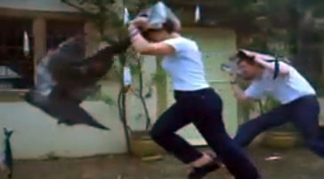 זה אמיתי: דגים נופלים מהשמים. צפו