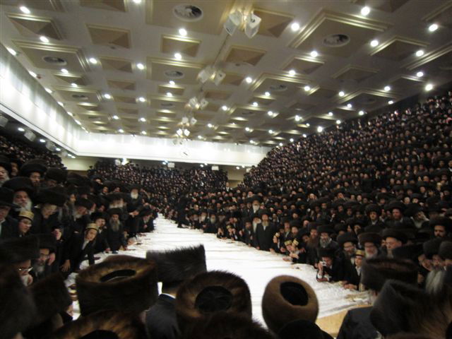 בעלזא: רבבת חסידים, אדמו"ר וחתן בר-מצווה