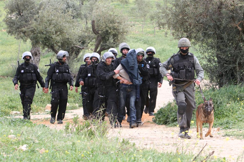 "יום הזעם": תמונת מצב, בינתיים. צפו בגלריה ראשונה