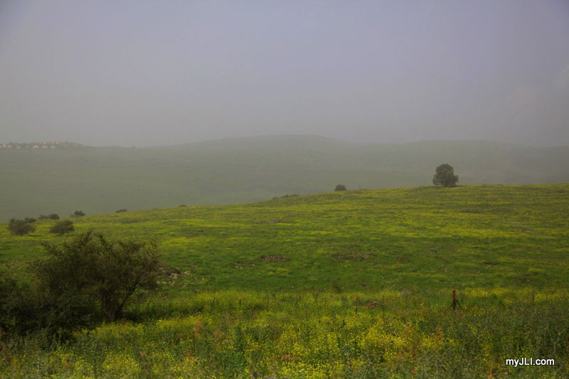 מסע תיירותי בישראל: צפו בגלרייה ענק