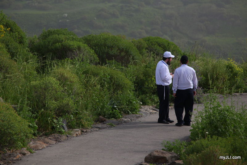 מסע תיירותי בישראל: צפו בגלרייה ענק