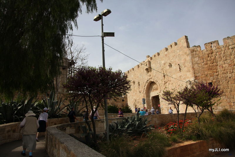 מסע תיירותי בישראל: צפו בגלרייה ענק