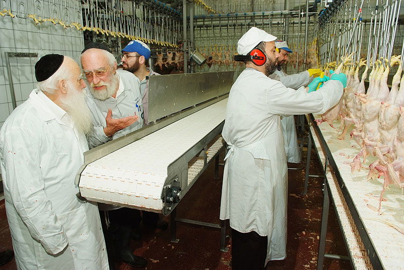 הרב אויערבאך ליד עבדת בדיקת 'צומת הגידין'