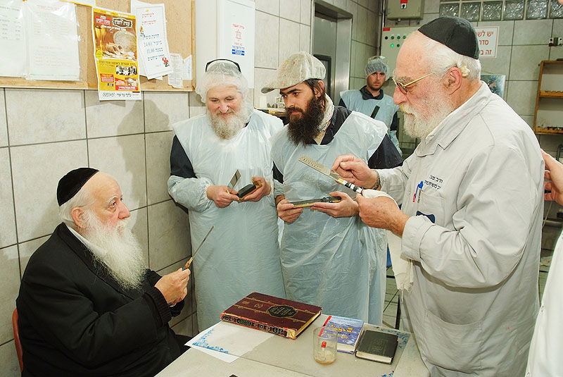 תגלית: הלכות 'גיד הנשה' - גם בעופות