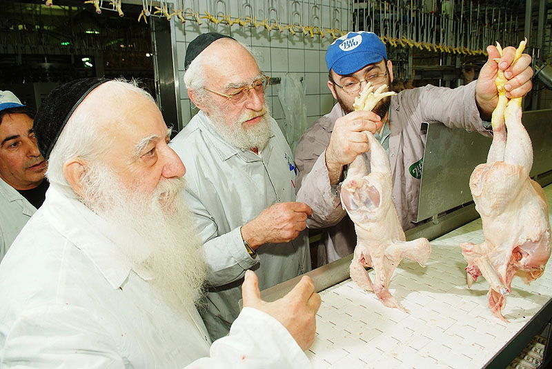 תגלית: הלכות 'גיד הנשה' - גם בעופות