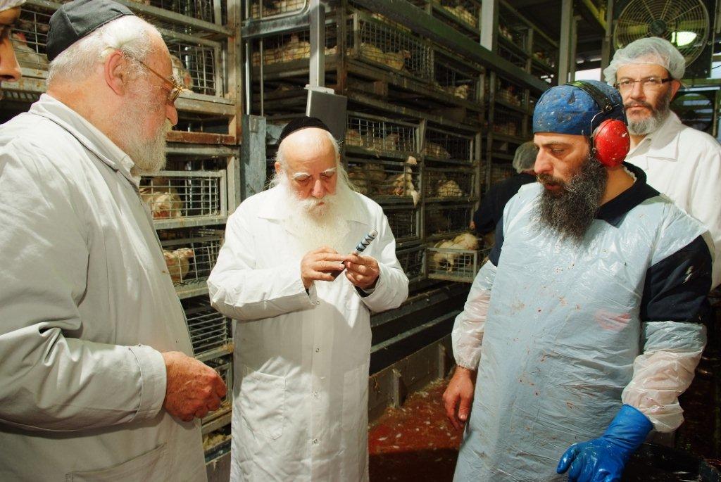 הגראד אויערבאך בבדיקת סכיני השחיטה