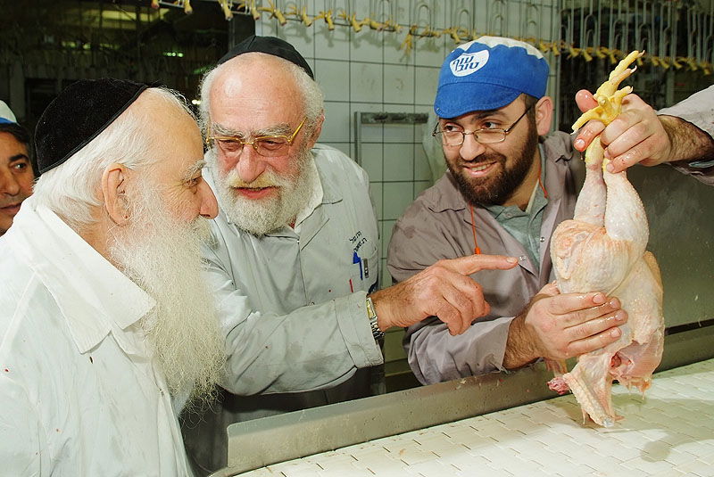 תגלית: הלכות 'גיד הנשה' - גם בעופות