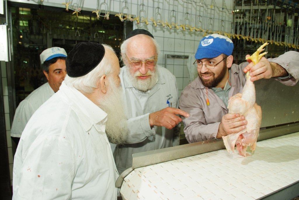 תגלית: הלכות 'גיד הנשה' - גם בעופות