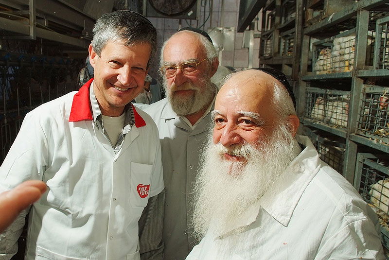 תגלית: הלכות 'גיד הנשה' - גם בעופות