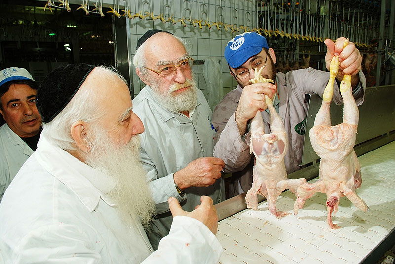 תגלית: הלכות 'גיד הנשה' - גם בעופות