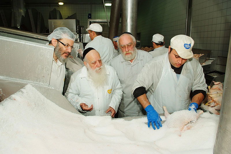 תגלית: הלכות 'גיד הנשה' - גם בעופות