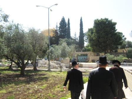 קבוצת חרדים ניסתה לעלות להר-הבית - ונבלמה