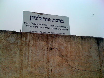 צילומים: נחמן וייס, "חדשות 24"