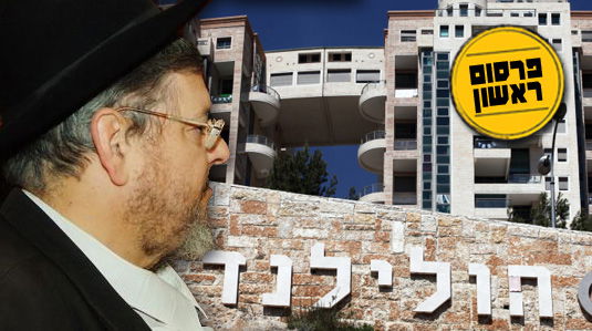 פולק על רקע הפרויקט. ייעצר?