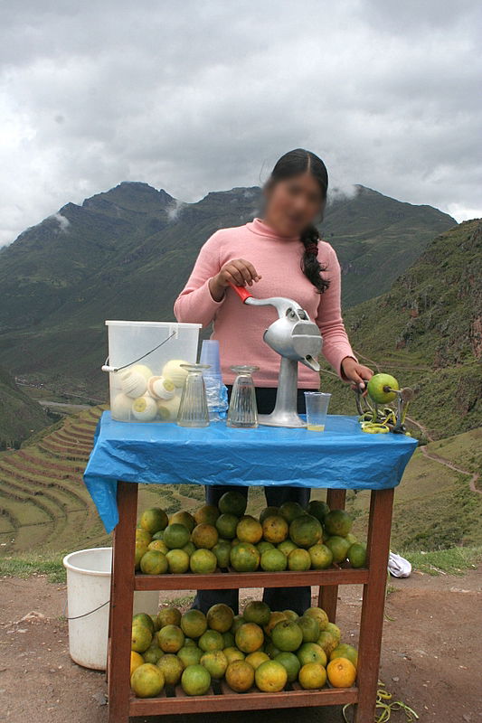 מדור תיירות חדש: "אלפסי בעולם"