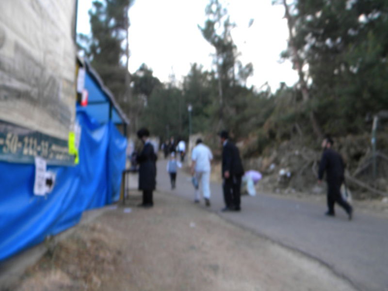 שבת אצל רשב"י: גלריית תמונות