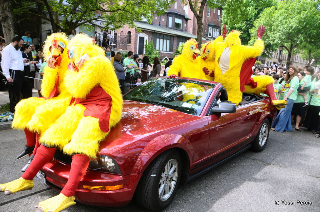 ההופעה החסידית הגדולה ביותר בהיסטוריה: וידאו, תמונות