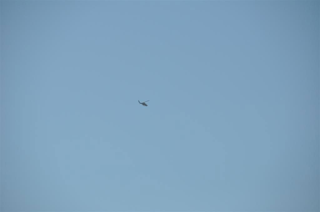 השקט המצמרר: השוטרים תיחקרו, המתנדבים פעלו