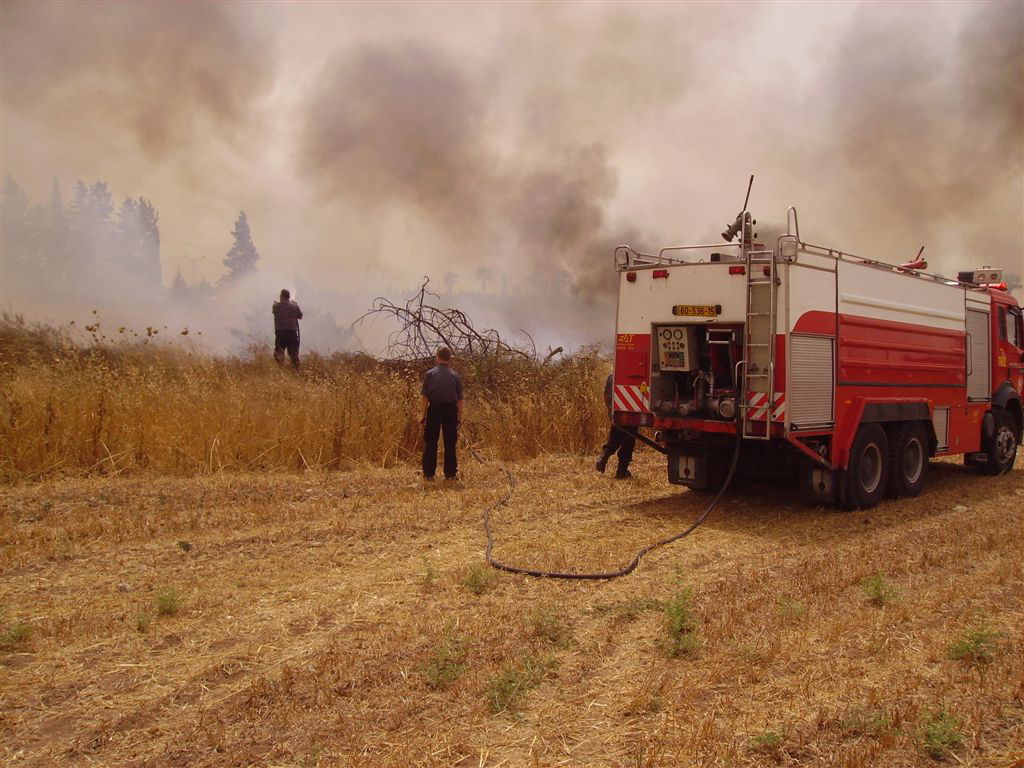 קביעה נחרצת: "העצמות שהתגלו - כולן של גויים"