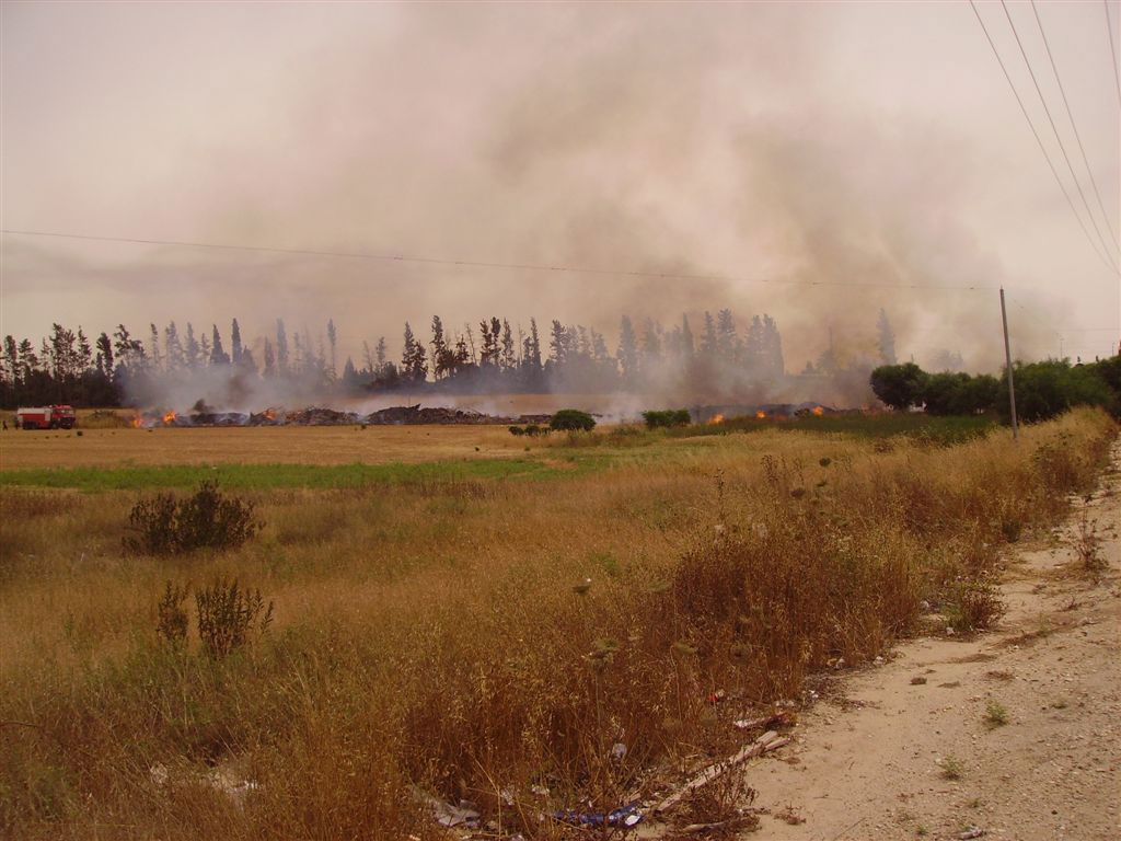 קביעה נחרצת: "העצמות שהתגלו - כולן של גויים"
