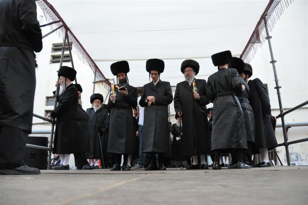 חתונת "בית אלכסנדר": וידאו, תמונות