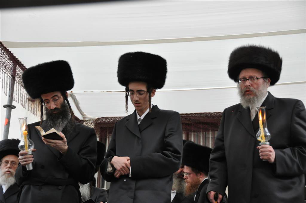 חתונת "בית אלכסנדר": וידאו, תמונות