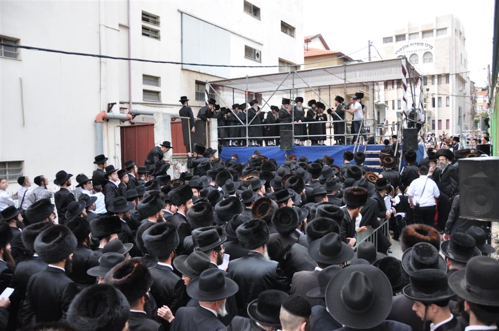 חתונת "בית אלכסנדר": וידאו, תמונות