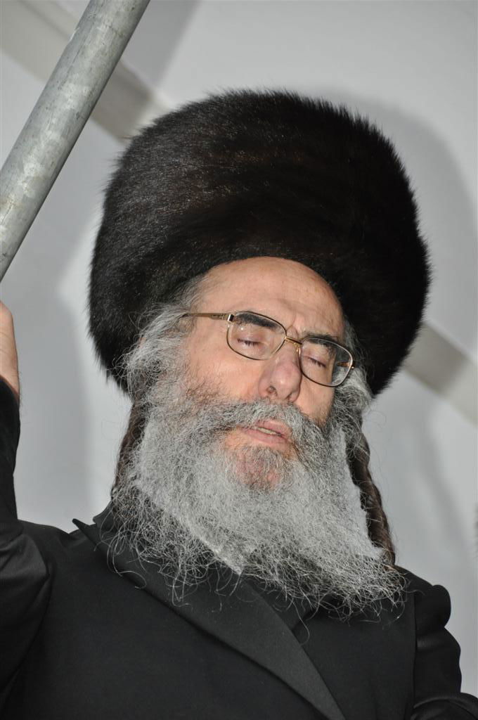 חתונת "בית אלכסנדר": וידאו, תמונות