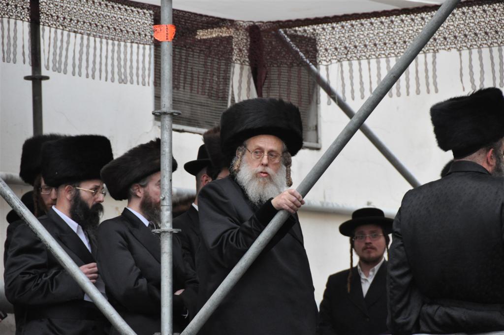 חתונת "בית אלכסנדר": וידאו, תמונות