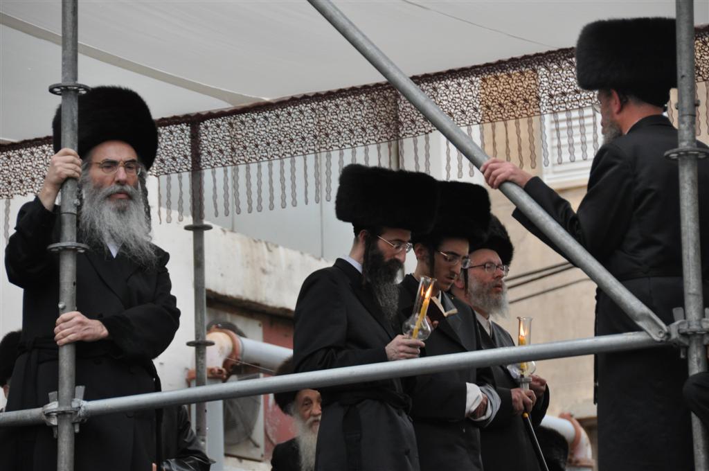 חתונת "בית אלכסנדר": וידאו, תמונות