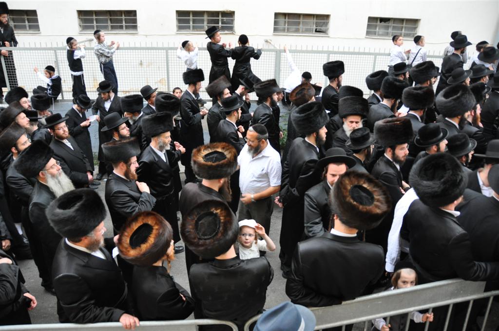 חתונת "בית אלכסנדר": וידאו, תמונות