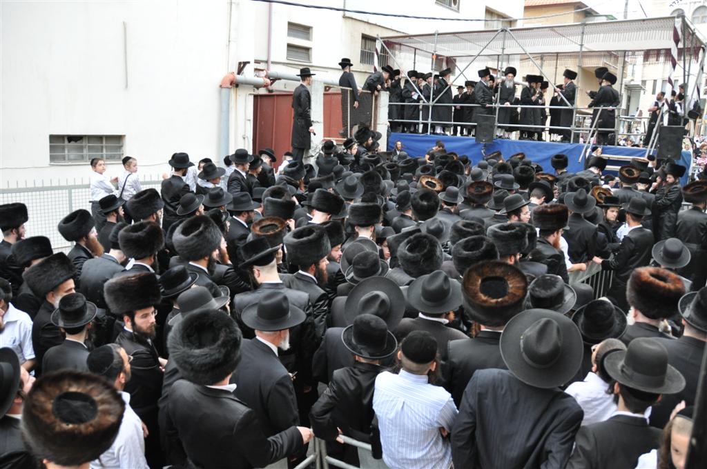 חתונת "בית אלכסנדר": וידאו, תמונות